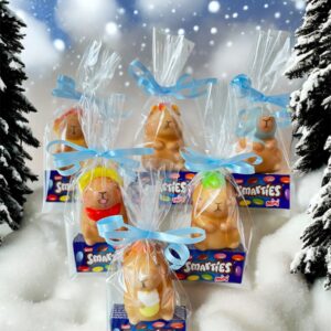 Insta aanbieding Capybara squishy traktatie